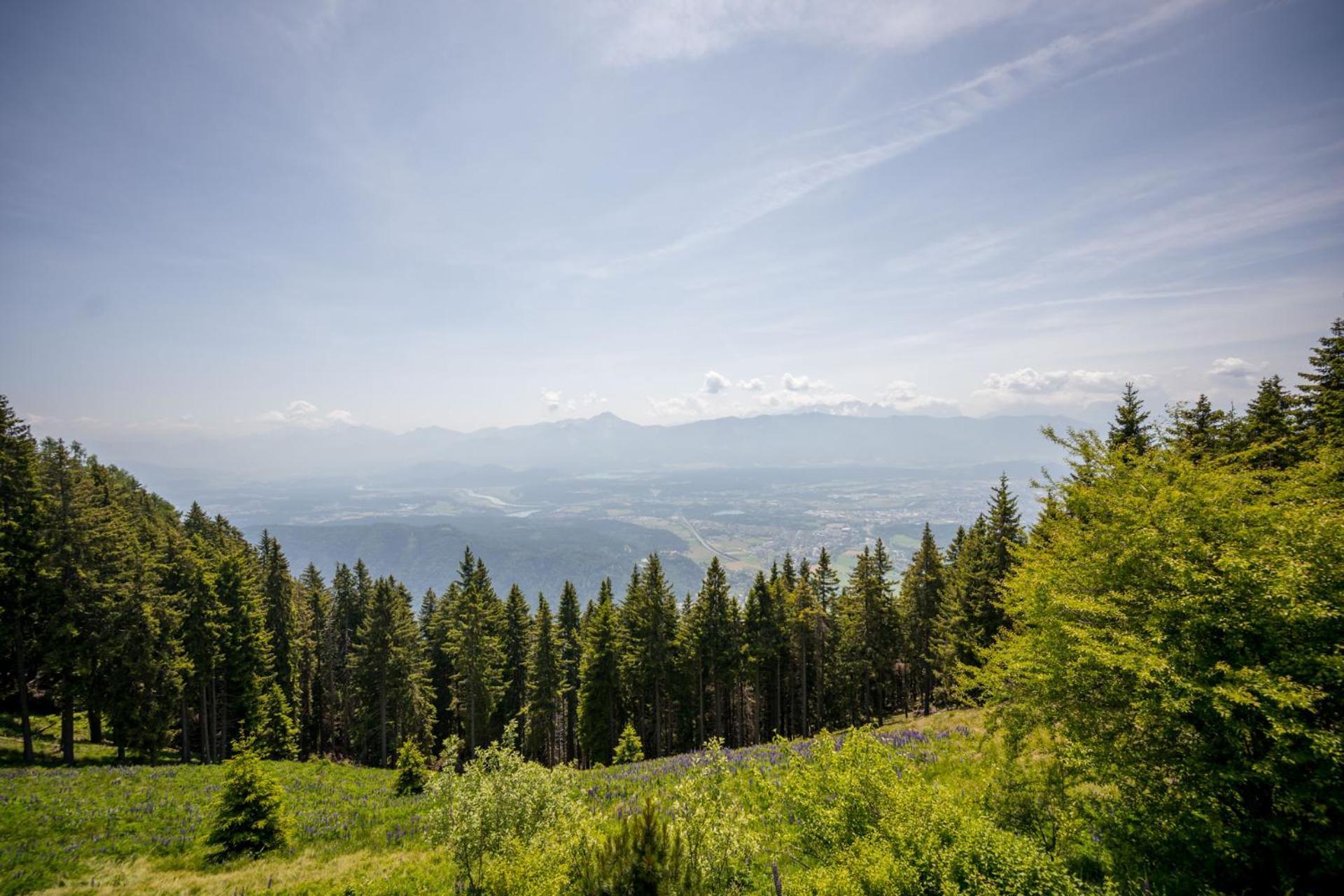 Mooki Mountain&pool Gerlitzen
